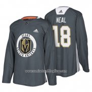 Camiseta Hockey Vegas Golden Knights James Neal Gray New Season Practice